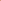 Blushing Bloom - 19 OZ